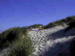 Dünenlandschaft Henne Strand / Daenemark